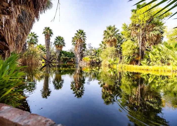 Tucson's Hot Springs At The Oasis Tucson