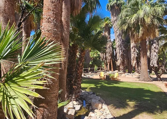 Tucson's Hot Springs At The Oasis *