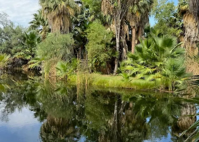 Tucson's Hot Springs At The Oasis *